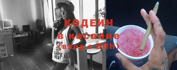 сатива Новозыбков