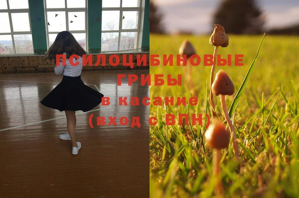 mdpv Нея