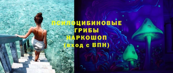 меф Нефтегорск