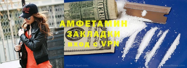 индика Наволоки