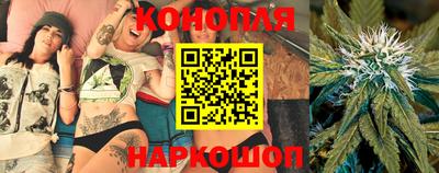 бошки Гатчина