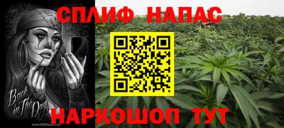 бошки Гатчина