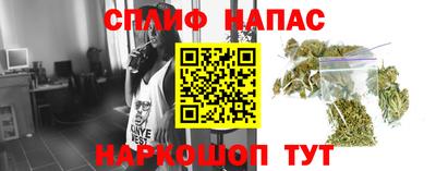 бошки Гатчина