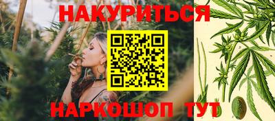 бошки Гатчина