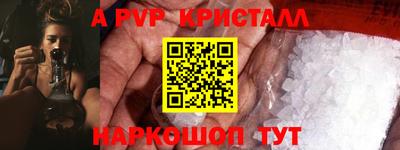 бошки Гатчина