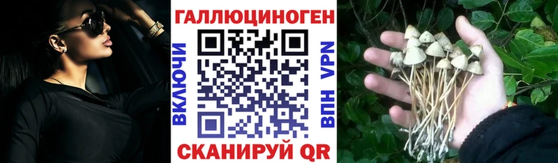 Галлюциногенные грибы мицелий  Киреевск 