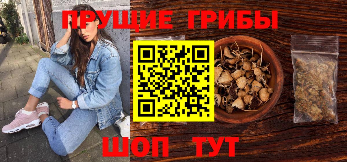 Псилоцибиновые грибы Psilocybe Киреевск