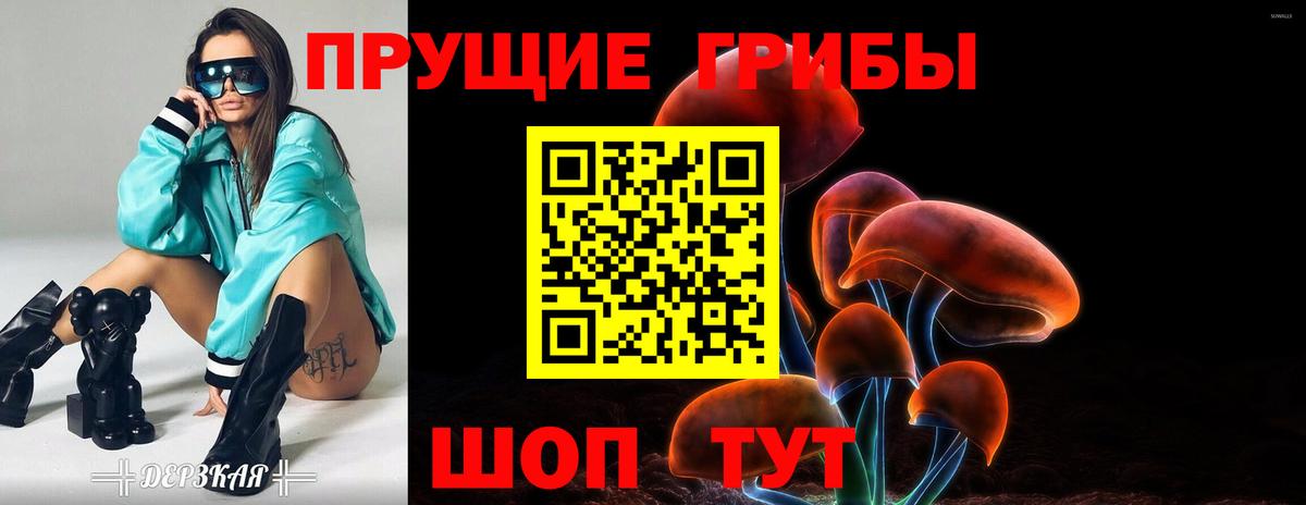 Галлюциногенные грибы GOLDEN TEACHER  Вход с VPN  Галлюциногенные грибы GOLDEN TEACHER  Киреевск 